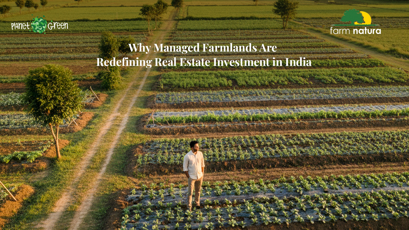 Why Managed Farmlands Are Redefining Real Estate Investment in India