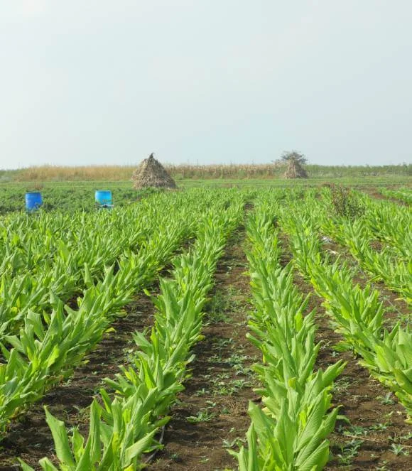 Farm Lands in Hyderabad